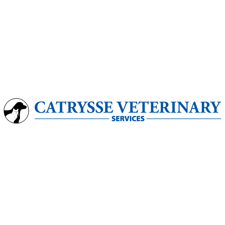 Catrysse Veterinary Services | 3234 Portage Ave, Winnipeg, MB R3K 0Y9, Canada | Phone: (204) 489-9111