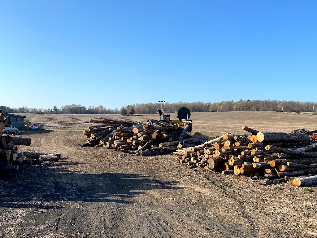 Maple Vista Firewood | 4135 Barrie Rd, Port Hope, ON L1A 3V8, Canada | Phone: (905) 376-2213