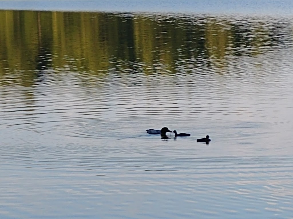 Sharbot Lake Provincial Park Boat Launch | 25467 ON-7, Sharbot Lake, ON K0H 2P0, Canada | Phone: (613) 335-2814