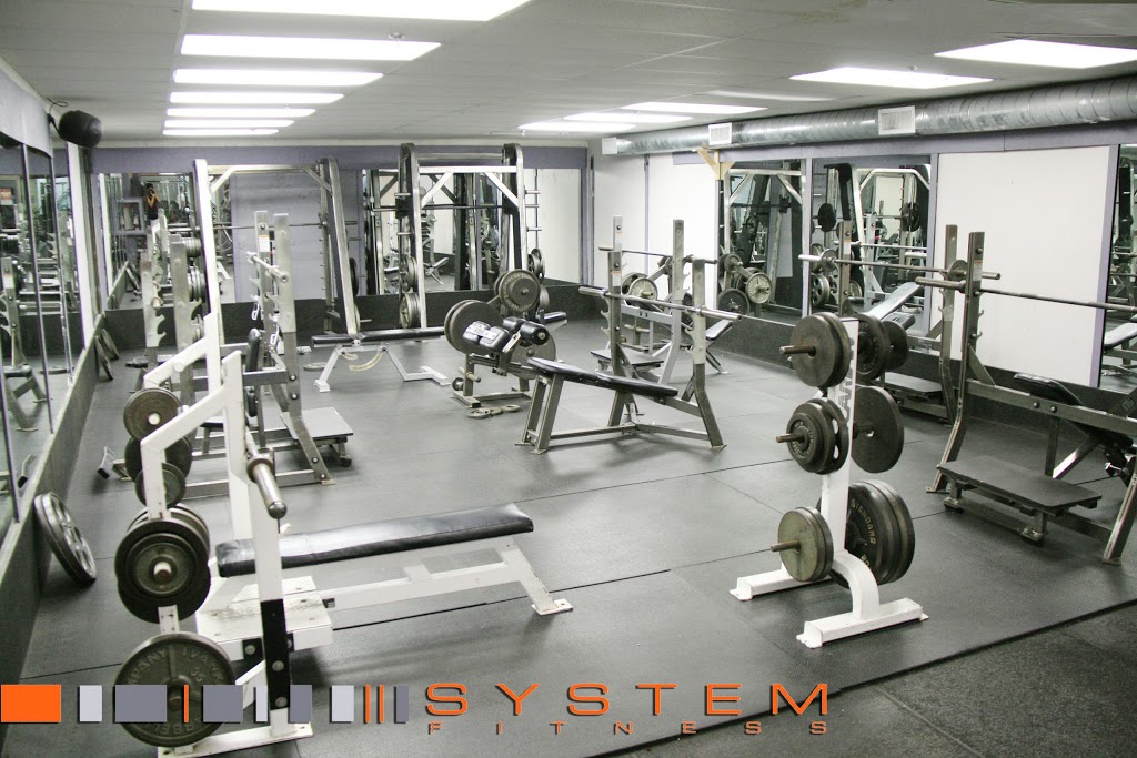 System Fitness High Park | 2100 Bloor St W, Toronto, ON M6S 1M7, Canada | Phone: (416) 762-6262