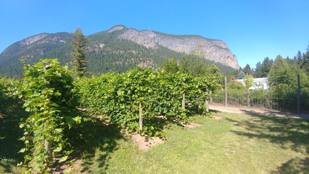 Sunnybrae Vineyards & Winery | 3849 Sunnybrae-Canoe Point Rd, Tappen, BC V0E 2X1, Canada | Phone: (250) 835-8373