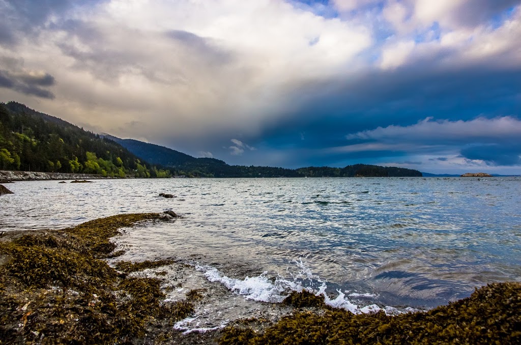 Teddy Bear Cove - Chuckanut Mountain Trails | 1467 Chuckanut Dr, Bellingham, WA 98229, USA | Phone: (360) 384-3444