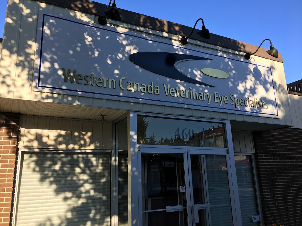 Western Canada Veterinary Eye Specialists | 460 E Columbia St, New Westminster, BC V3L 3X5, Canada | Phone: (604) 549-4944