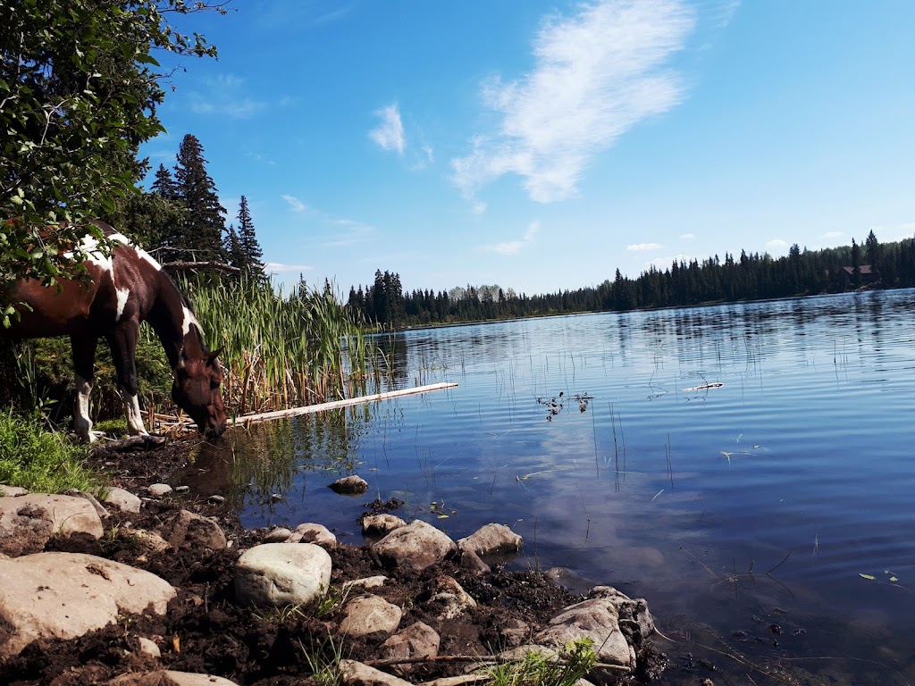 Wettstone Guest Ranch | 7736 High Country Rd, Bridge Lake, BC V0K 1E0, Canada | Phone: (250) 593-4487