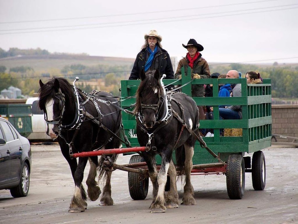 Wild Wild West Event Centre | 67 Commercial Ct, Calgary, AB T3Z 2A6, Canada | Phone: (403) 312-6462