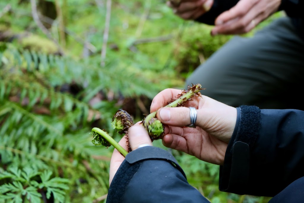 Foraging with you | Thompson Park bc, Chilliwack, BC V4Z 1B9, Canada | Phone: (250) 896-1601