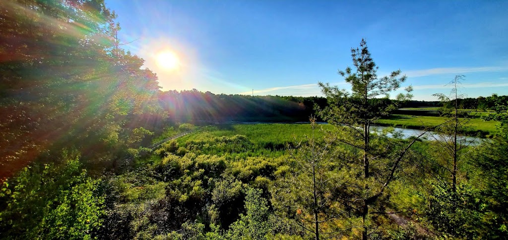 Jones Creek Trails - Thousand Islands National Park | 1231-1241 Thousand Islands Pkwy, Mallorytown, ON K0E 1R0, Canada | Phone: (613) 923-5261