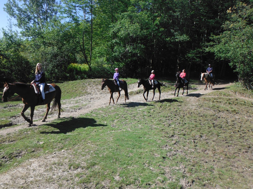 Equitation Orford | 1188 Chemin de la Montagne, Orford, QC J1X 6X9, Canada | Phone: (819) 843-2989