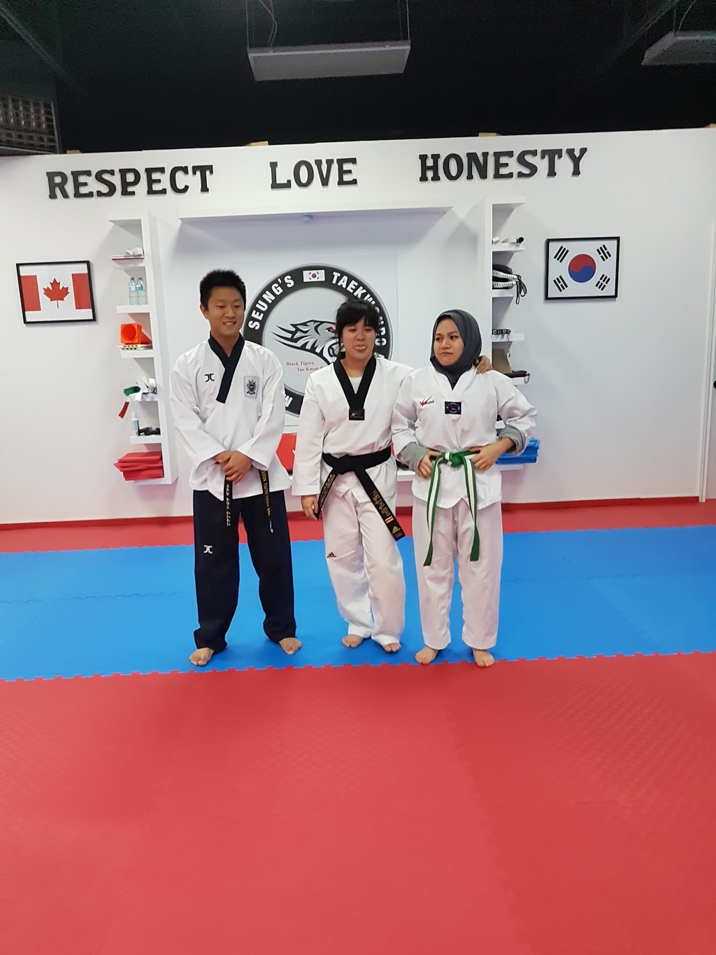 Tri Star Taekwondo | 1510 Fanshawe Park Rd W #2, London, ON N6H 5L8, Canada | Phone: (519) 472-4545