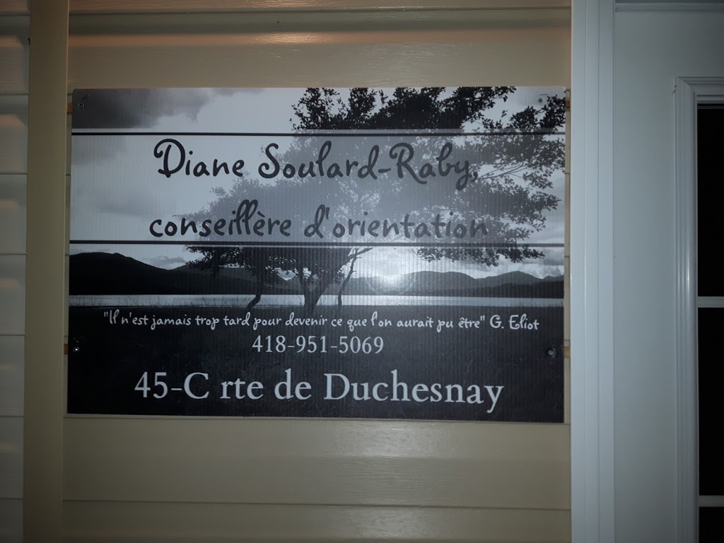 D.S.R. Conseillère En Orientation | 45-C Route de Duchesnay, Sainte-Catherine-de-la-Jacques-Cartier, QC G3N 0J2, Canada | Phone: (418) 951-5069