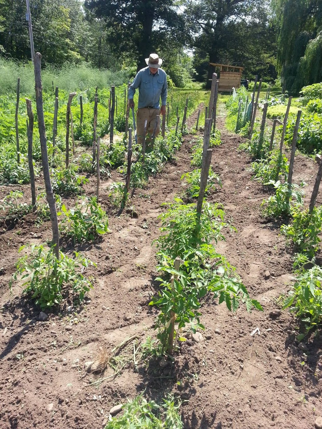 Harris Family Farm | 1220 Brunelle Side Rd, Penetanguishene, ON L9M 2H8, Canada | Phone: (705) 527-9031