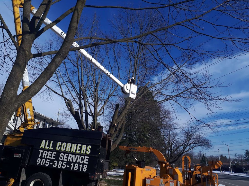 All Corners Tree and Lawn Care | 265 Barton St, Stoney Creek, ON L8E 2K4, Canada | Phone: (866) 309-7622