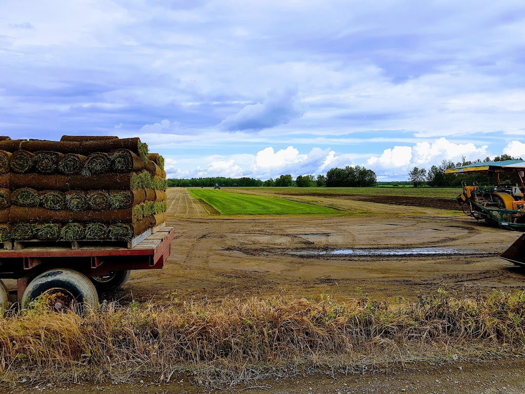 Gazon Larouche | 5074 Chem. Saint-Anicet, La Baie, QC G7B 3N8, Canada | Phone: (418) 677-2657