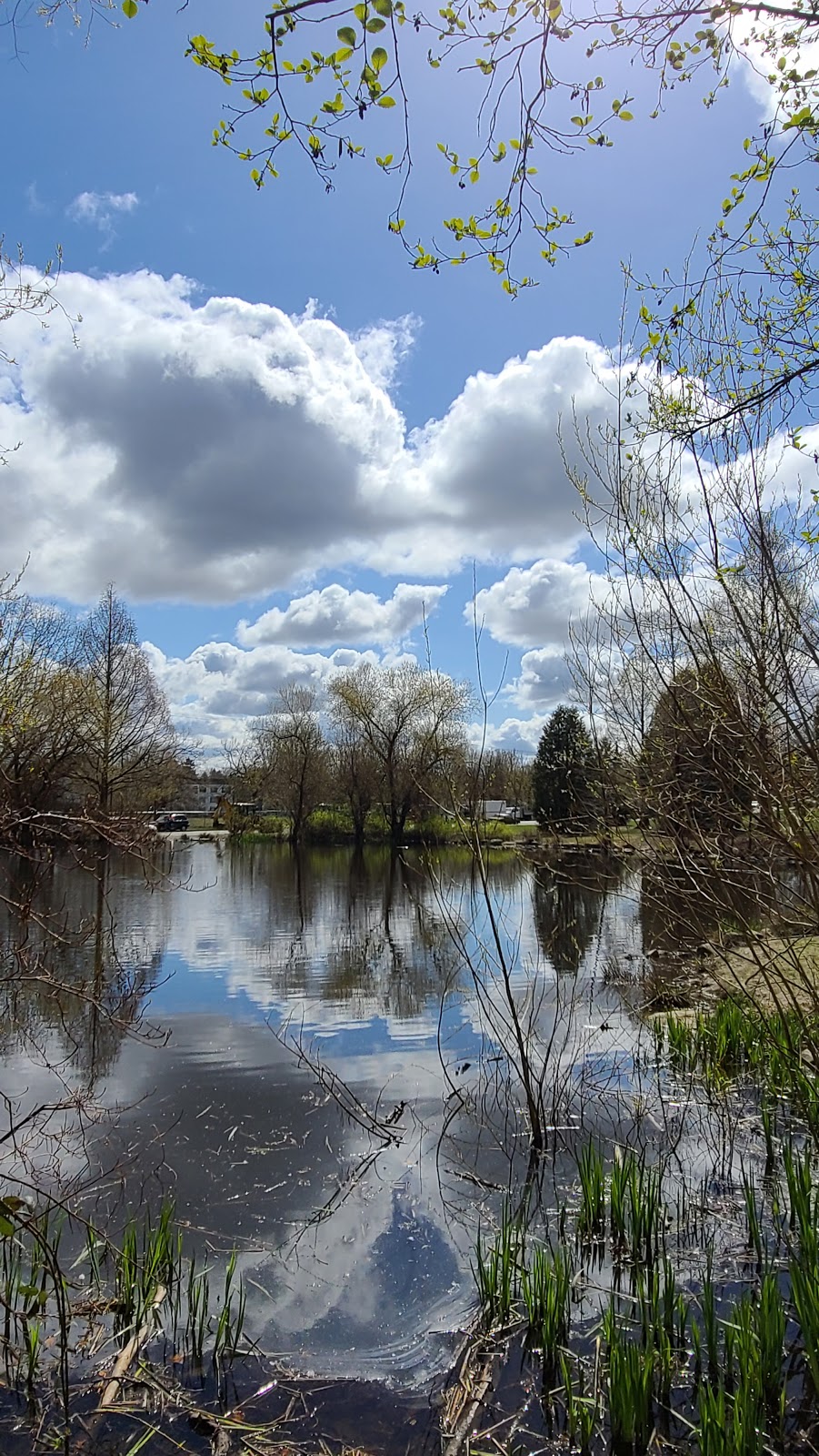 Queen Elizabeth Park Disc Golf Course | W 37th Ave, Vancouver, BC V6M 1P1, Canada | Phone: (604) 873-7000