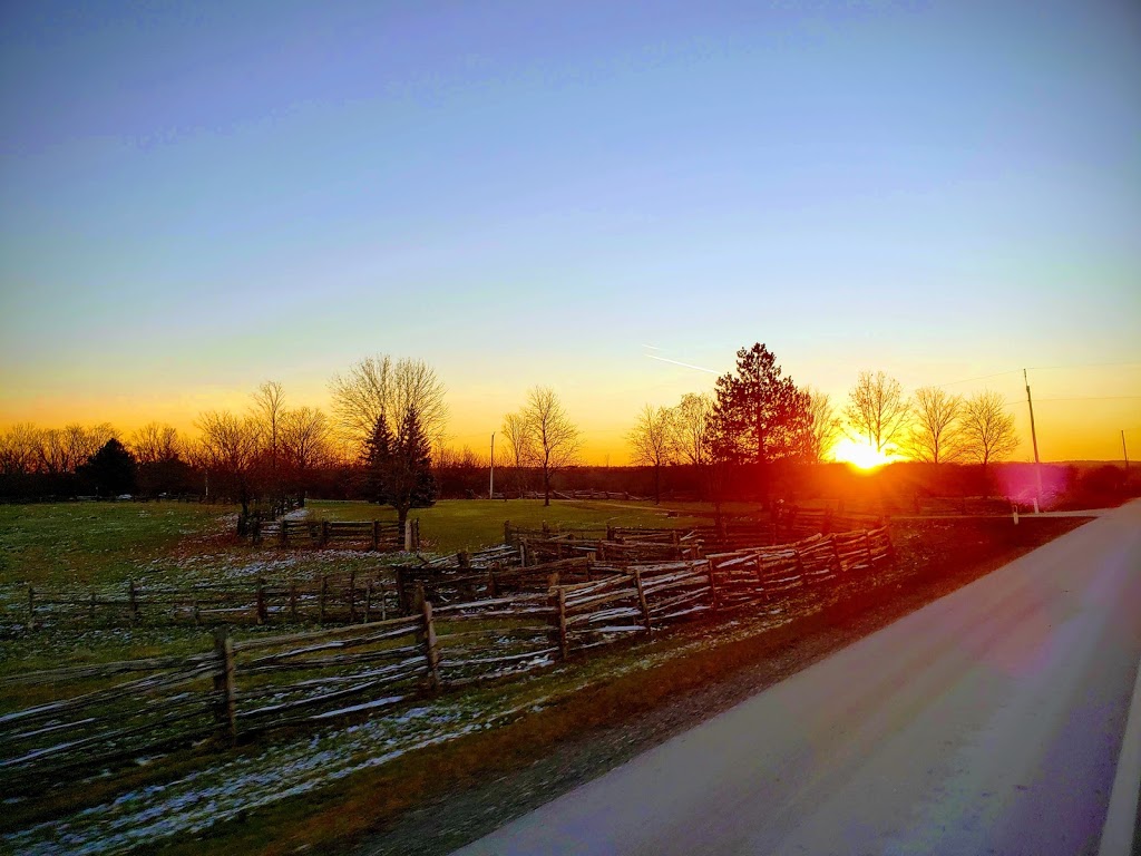 Nashville Conservation Reserve | Ontario, Canada