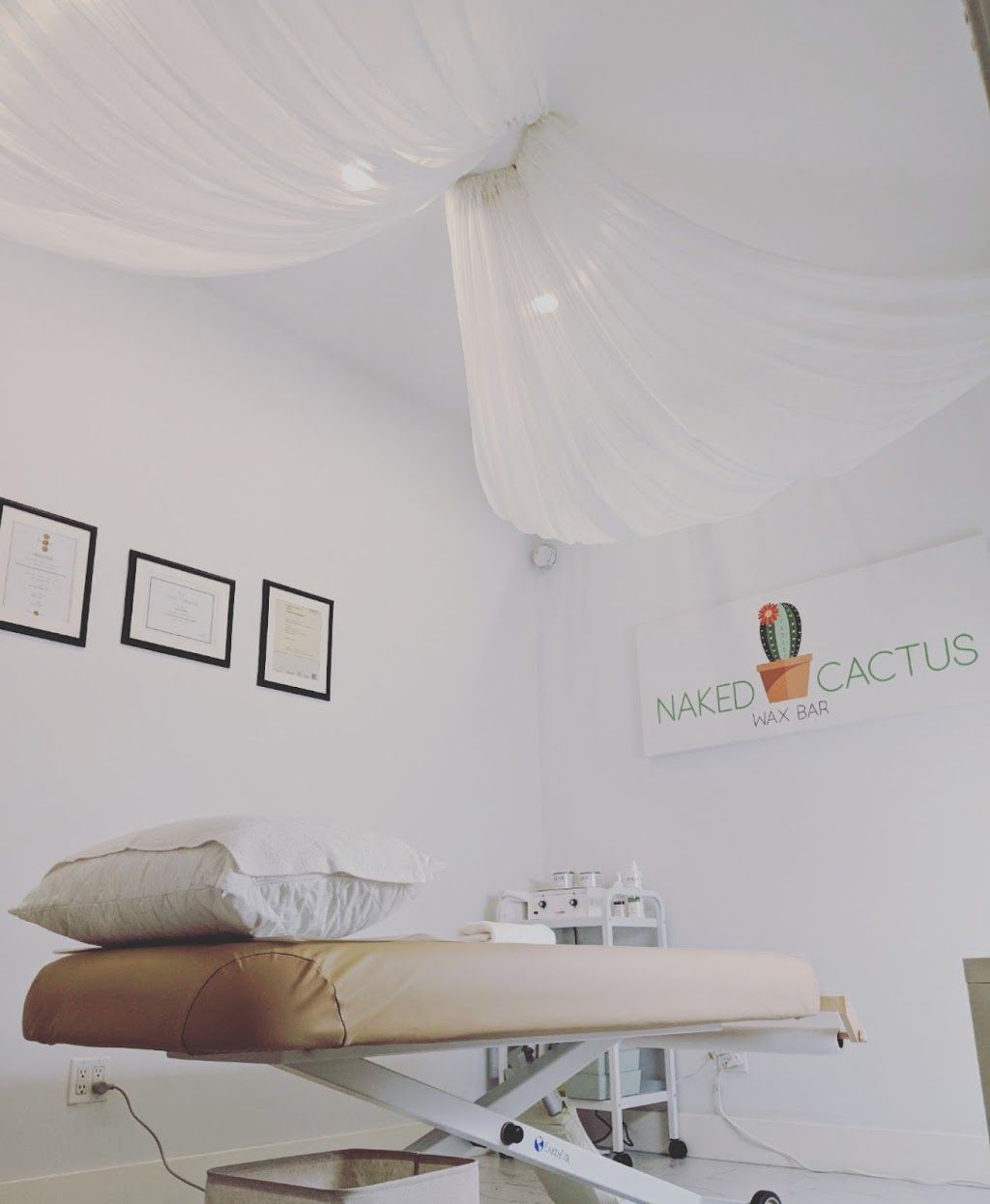 Naked Cactus Wax Bar | 1655 Como Lake Ave Unit 105, Coquitlam, BC V3J 3P7, Canada | Phone: (604) 722-5970