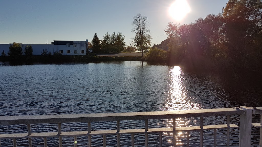 Parc Olivier-Tremblay | Rue de lÉtang, Saint-François-de-la-Rivière-du-Sud, QC G0R 3A0, Canada