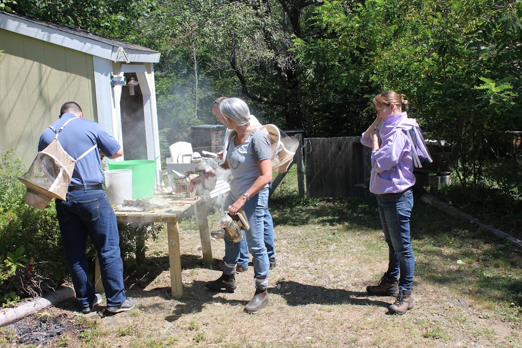 Beeyond the Vail Beekeeping | 114 Pig Loop Rd, Chester, NS B0J 1J0, Canada | Phone: (902) 973-1149