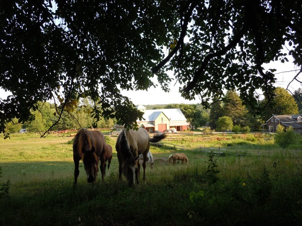 Camping Farm Pégasus S.e.n.c. | 261a Route 143, Ulverton, QC J0B 2B0, Canada | Phone: (819) 826-3825