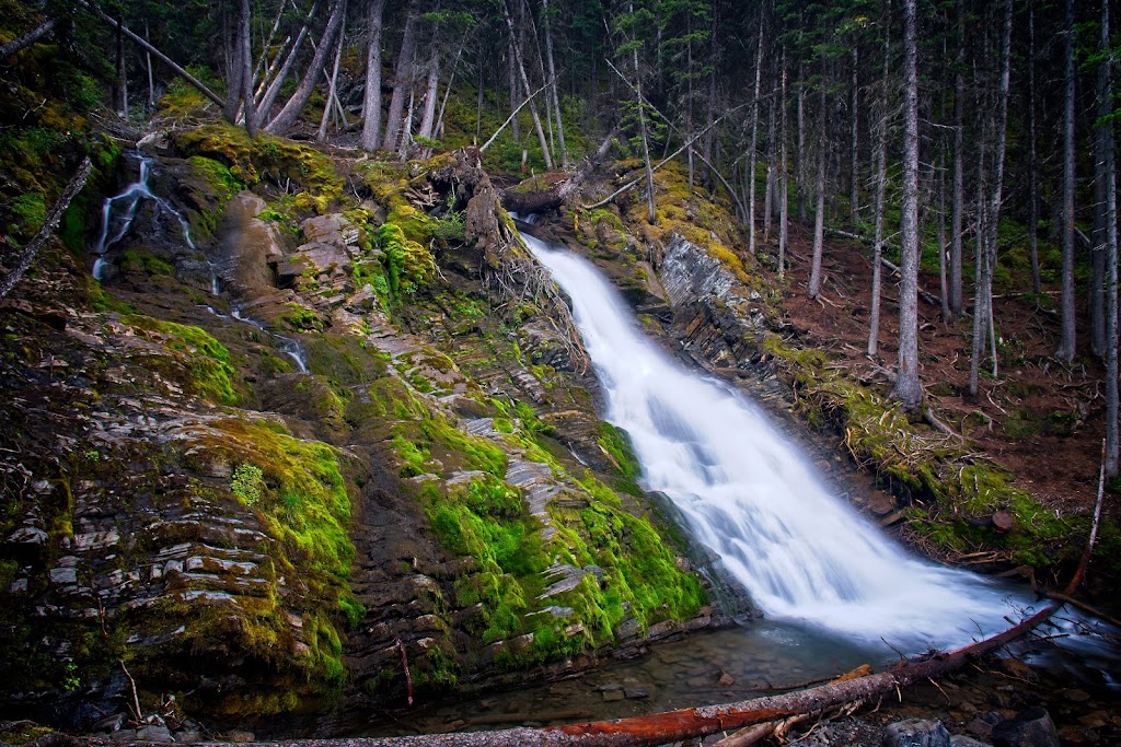 Peter Lougheed Provincial Park | AB-40, Alberta T0L, Canada | Phone: (403) 678-0760