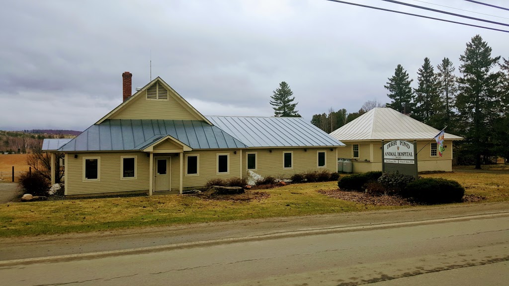 Animal Vet | 2719-2815 Derby Line Rd, Derby, VT 05829, USA