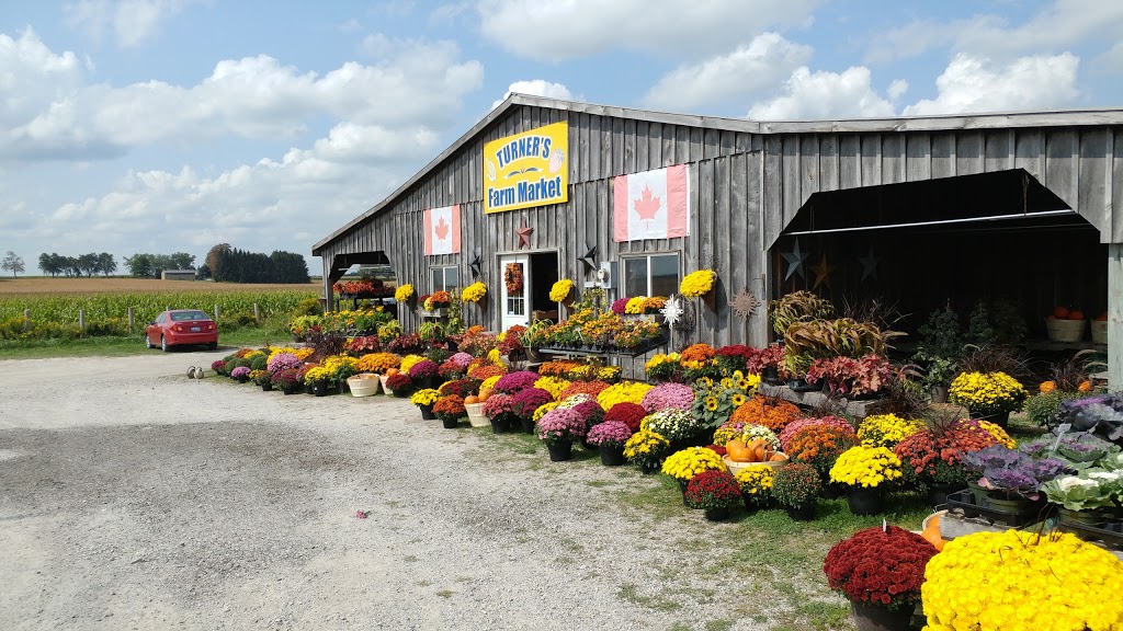 Turners Farm Market | 68 Rd, Ingersoll, ON N5C 3J5, Canada | Phone: (519) 425-0513