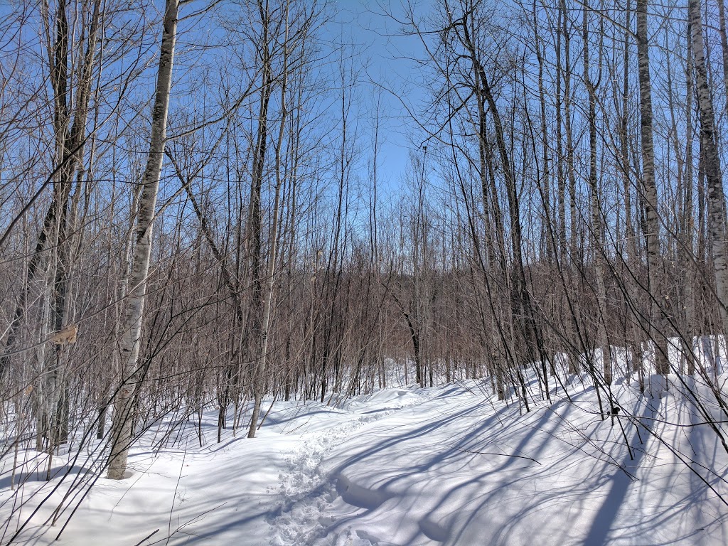 Parc Le Renouveau Rosaire-Sénécal | Chemin des Marronniers, Nominingue, QC J0W 1R0, Canada | Phone: (819) 278-3384 ext. 246