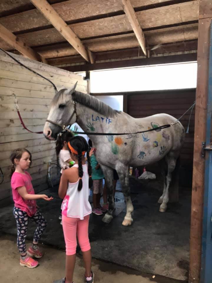 Seaside Vaulters Equestrian Vaulting | 11860 Ladner Trunk Rd, Delta, BC V4E 1A6, Canada | Phone: (778) 877-5150