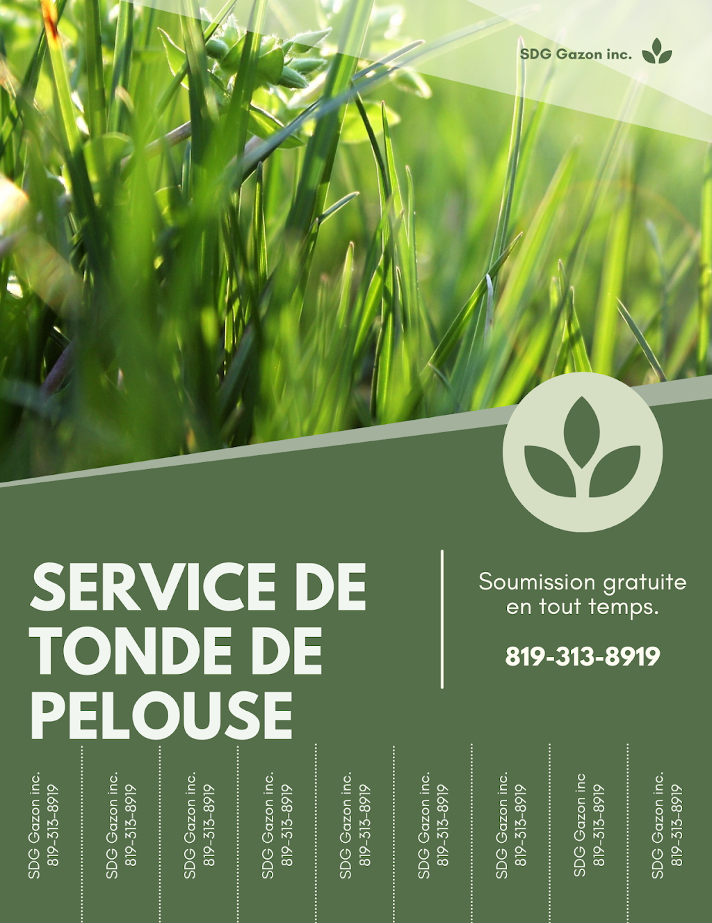 SDG Gazon inc. | 275 Rue Théophile St Laurent, Nicolet, QC J3T 1B8, Canada | Phone: (819) 313-8919