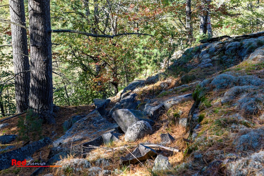 Cranberry Bog Trail | Killarney, ON P0M, Canada | Phone: (705) 287-2900