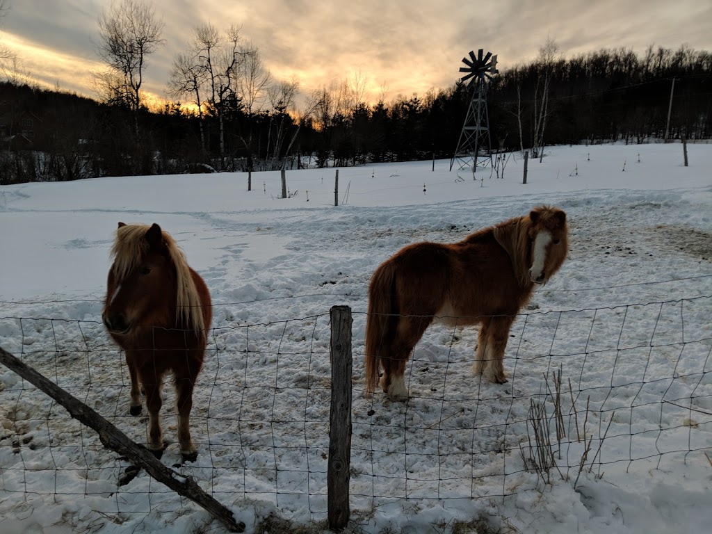 Auberge du Renouveau | 2311 Chemin Scenic, Sutton, QC J0E 2K0, Canada | Phone: (450) 538-8399