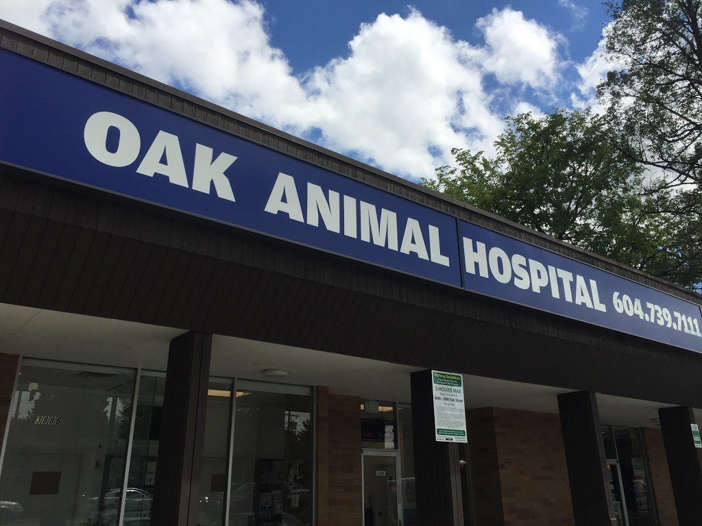 Oak Animal Hospital | 3888 Oak St, Vancouver, BC V6H 2M5, Canada | Phone: (604) 739-7111