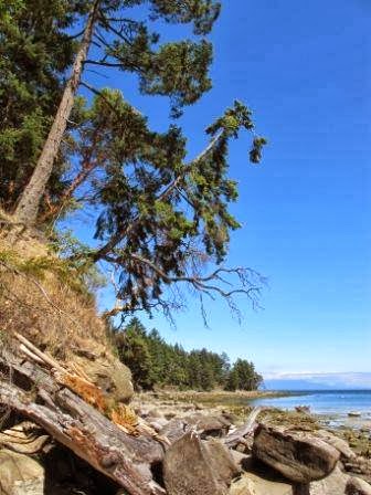 Twin Beaches B&B | 71 Decourcy Dr, Gabriola, BC V0R 1X1, Canada | Phone: (250) 325-0032