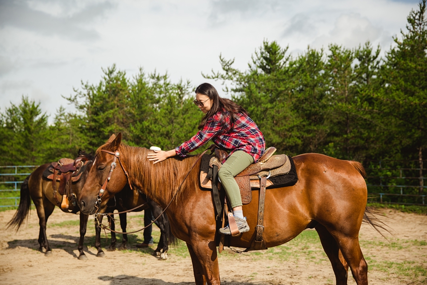 Leaning Tree Trail Rides | 64516 Range Rd 270, Box 164, Jarvie, AB T0G 1H0, Canada | Phone: (780) 307-6355