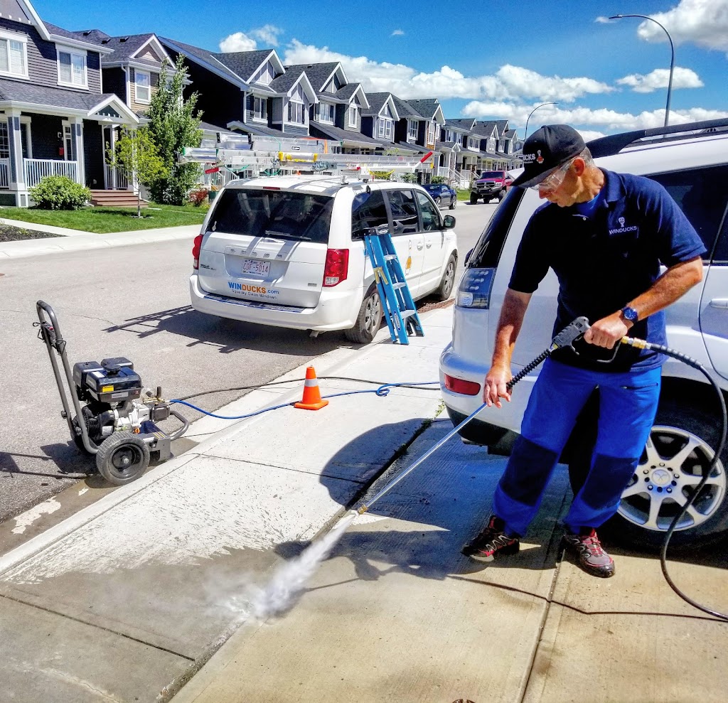 Winducks Gutter & Window Cleaning Cochrane | 430 River Heights Crescent, Cochrane, AB T4C 0T9, Canada | Phone: (587) 572-6425