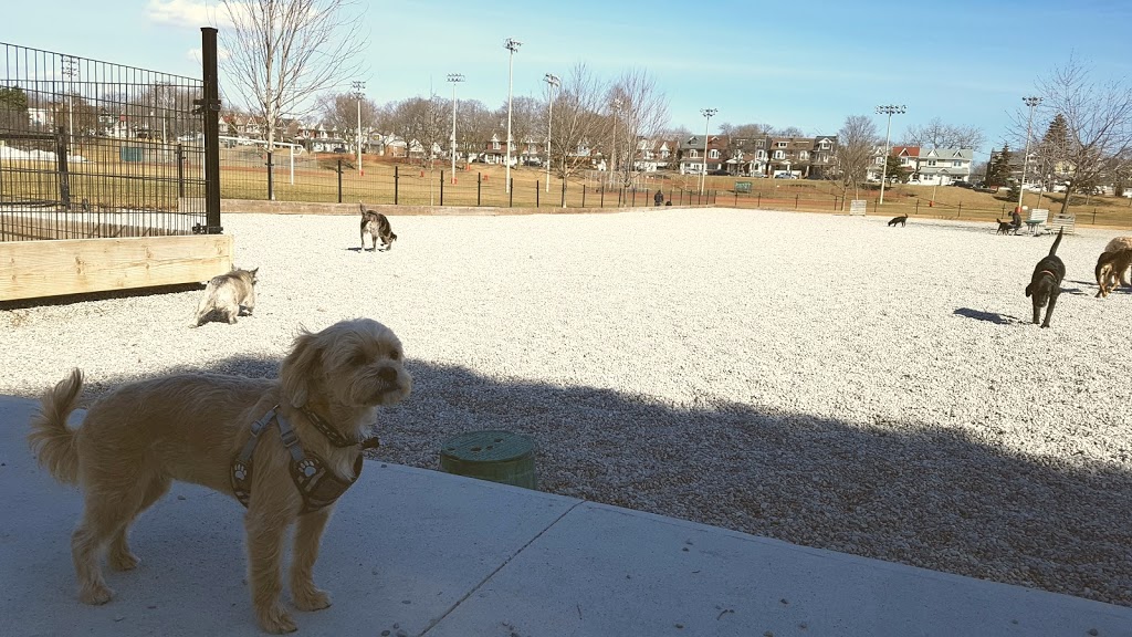 Greenwood Dog Park | Alton Ave, Toronto, ON M4L 2R1, Canada