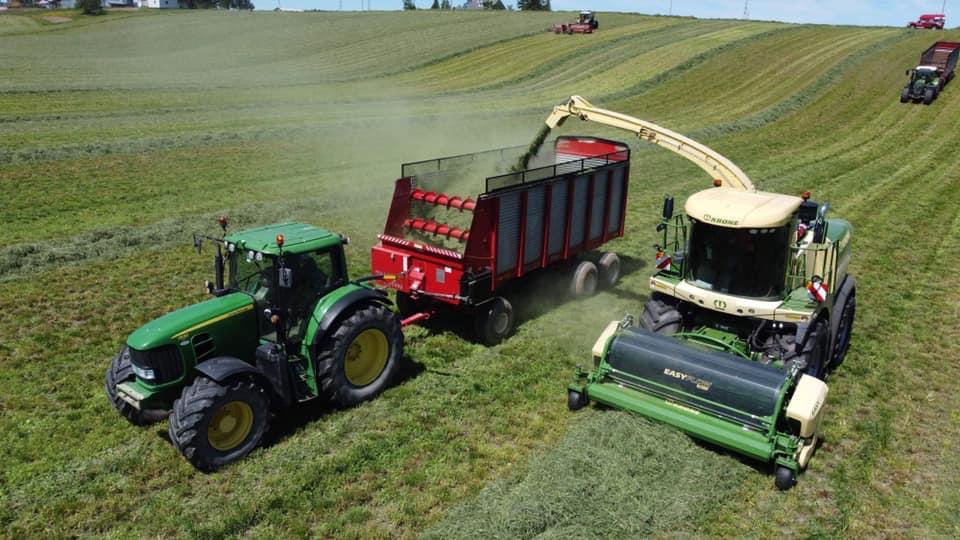 Ferme du loup inc | 380 Rang St Ernest, Saint-Alexandre-de-Kamouraska, QC G0L 2G0, Canada | Phone: (418) 866-0701