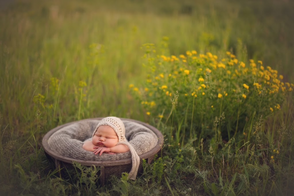 My Newborn Beauty photography studio | 5582, Surrey, BC V3X 1Z3, Canada | Phone: (778) 387-7405