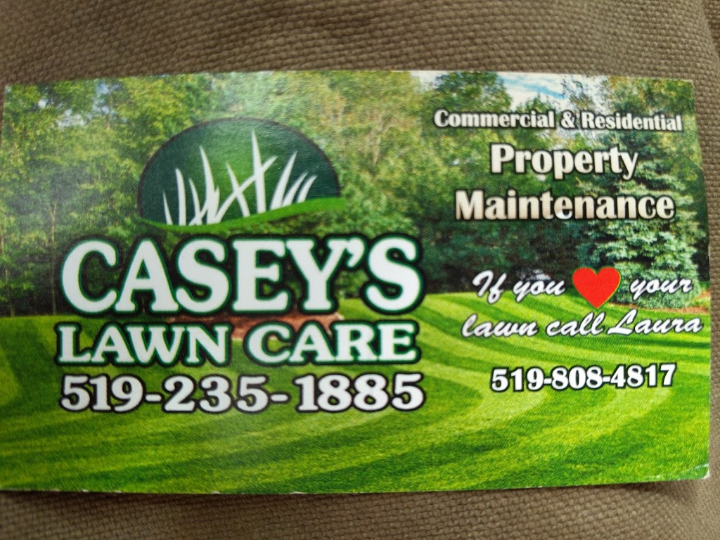 Caseys Lawn Care | 176 Francis St, Exeter, ON N0M 1S3, Canada | Phone: (519) 235-1885