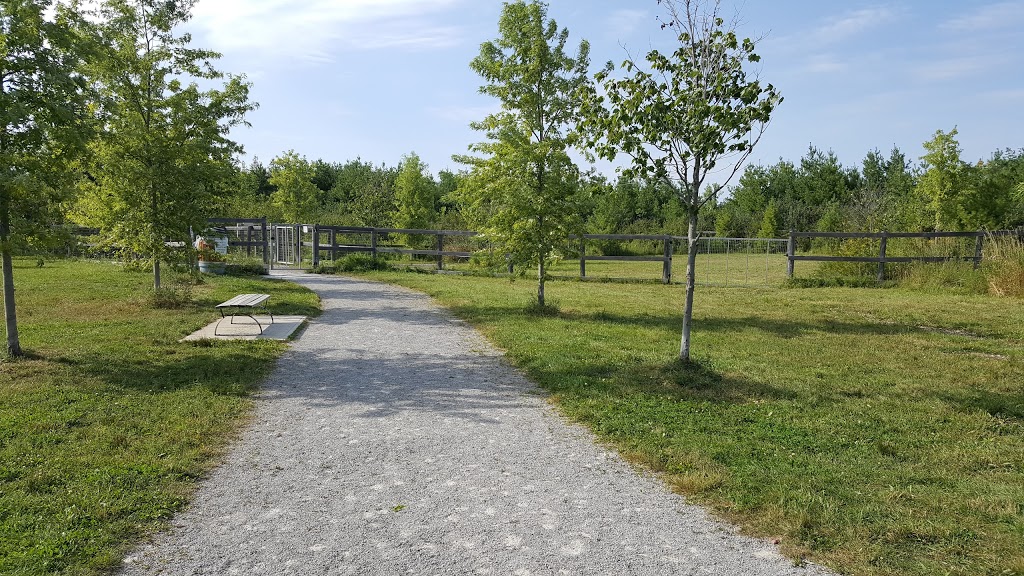 Phyllis Rawlinson Park | 11715 Leslie Street, Richmond Hill, ON L4E 3R7, Canada | Phone: (905) 771-8870