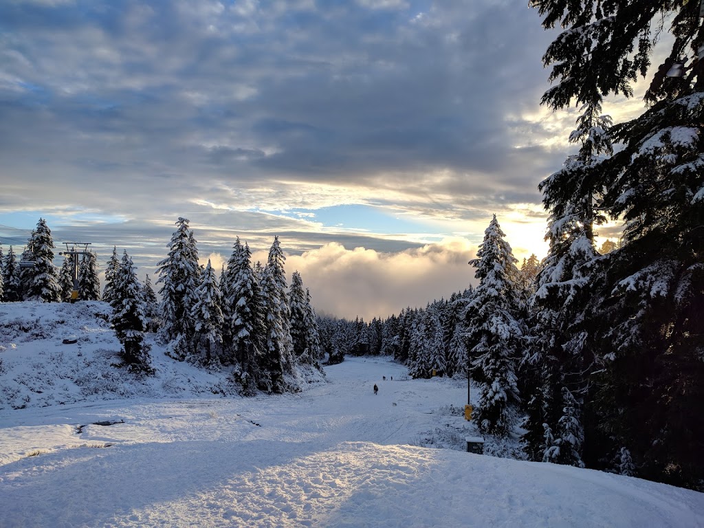 Seymour Mountain Mystery Lake Trail | Seymour mountain, Mystery Lake hike, North Vancouver, BC V7G 1L3, Canada