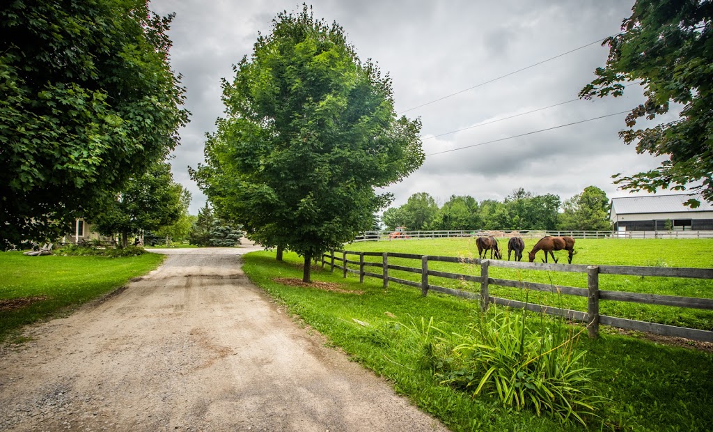 Dreamwinds Equine Assisted Learning Centre | 2800 Line 10, Bradford, ON L3Z 2A5, Canada | Phone: (289) 231-6775