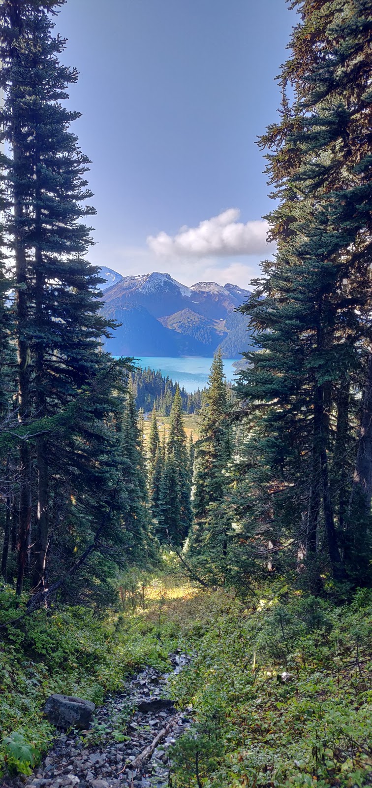 Panorama Ridge | Whistler, BC V0N 0A0, Canada