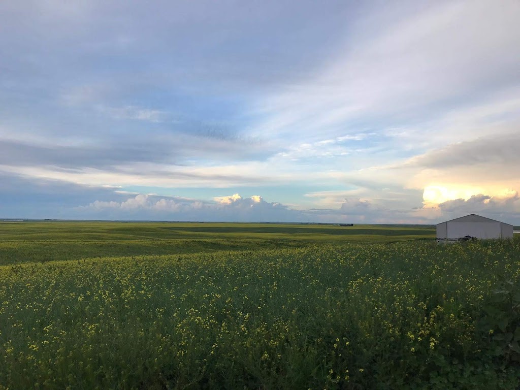 Quark Farms Ltd | Unnamed Road, Mossbank, SK S0H 3G0, Canada | Phone: (306) 354-7672