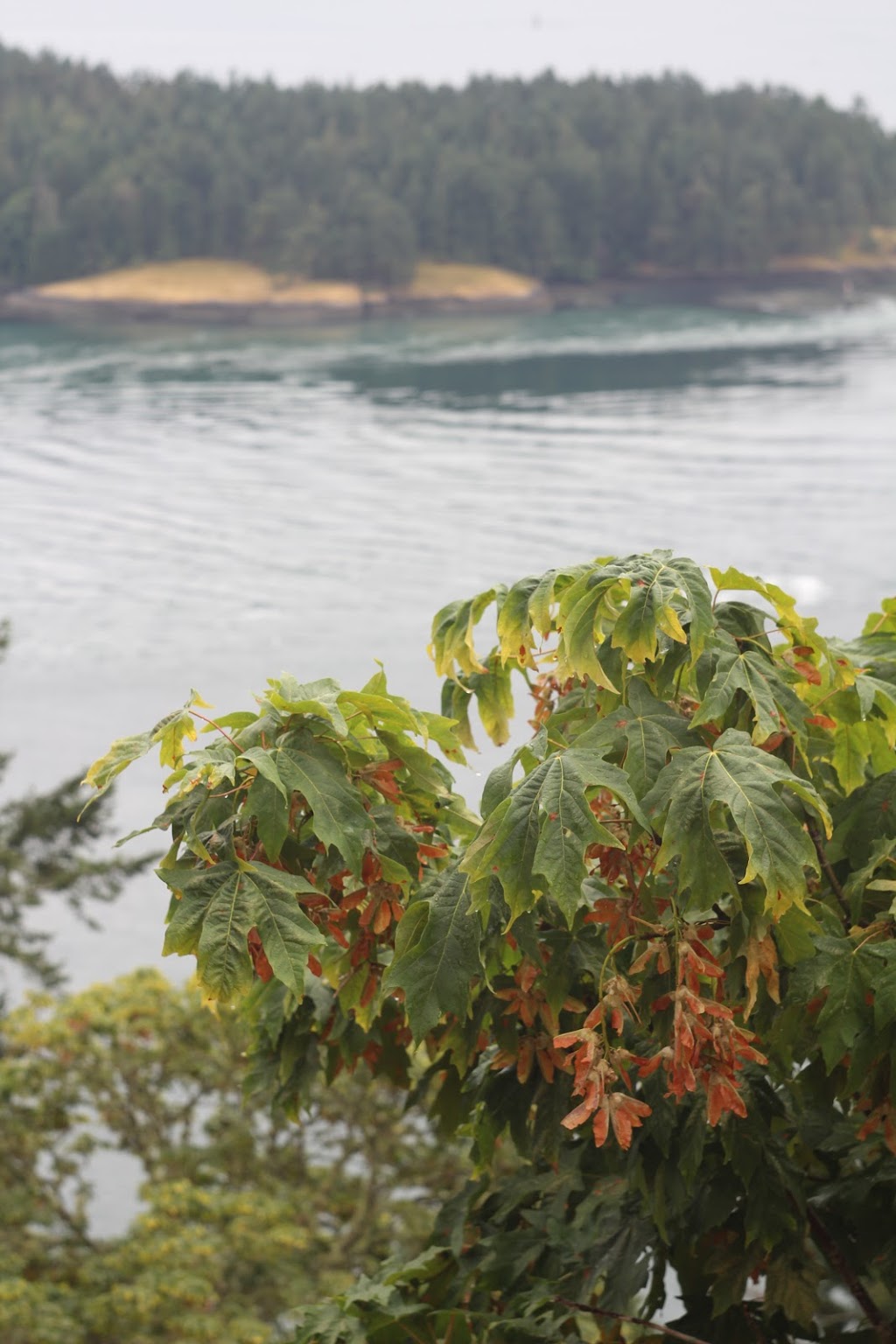 Bluffs Park Parking Area | Galiano Island, BC V0N 1P0, Canada