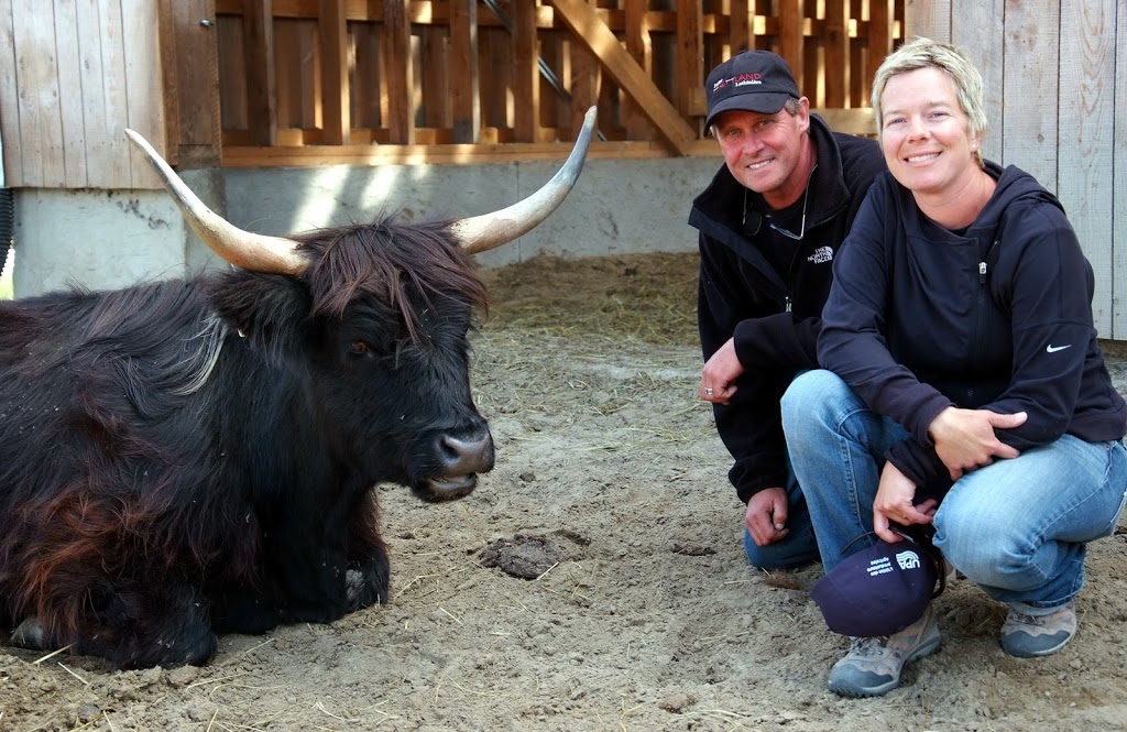 Ferme Highland Lotbinière | 4384 Rang Juliaville, Saint-Édouard-de-Lotbinière, QC G0S 1Y0, Canada | Phone: (418) 796-0046