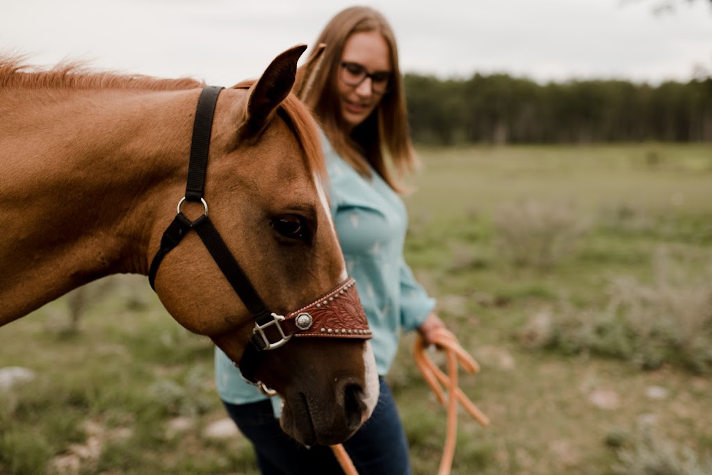 Vanessa Renae Photography | 3 Crocus Bay, Steinbach, MB R5G 2C7, Canada | Phone: (204) 392-4940