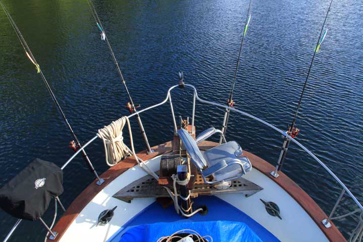 Alberni Charters | Harbour Quay Marina, 2900 Harbour Rd, Port Alberni, BC V9Y 7X2, Canada | Phone: (250) 735-6503