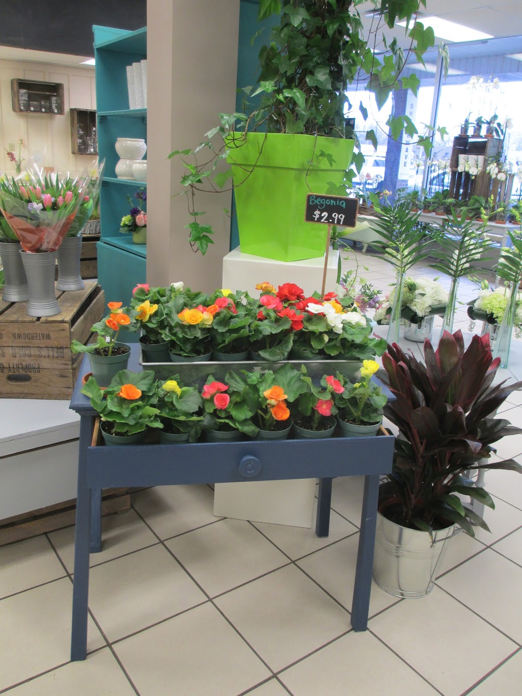 Euro Style Flower Market | 3015 New St, Burlington, ON L7R 1K3, Canada | Phone: (905) 634-6100