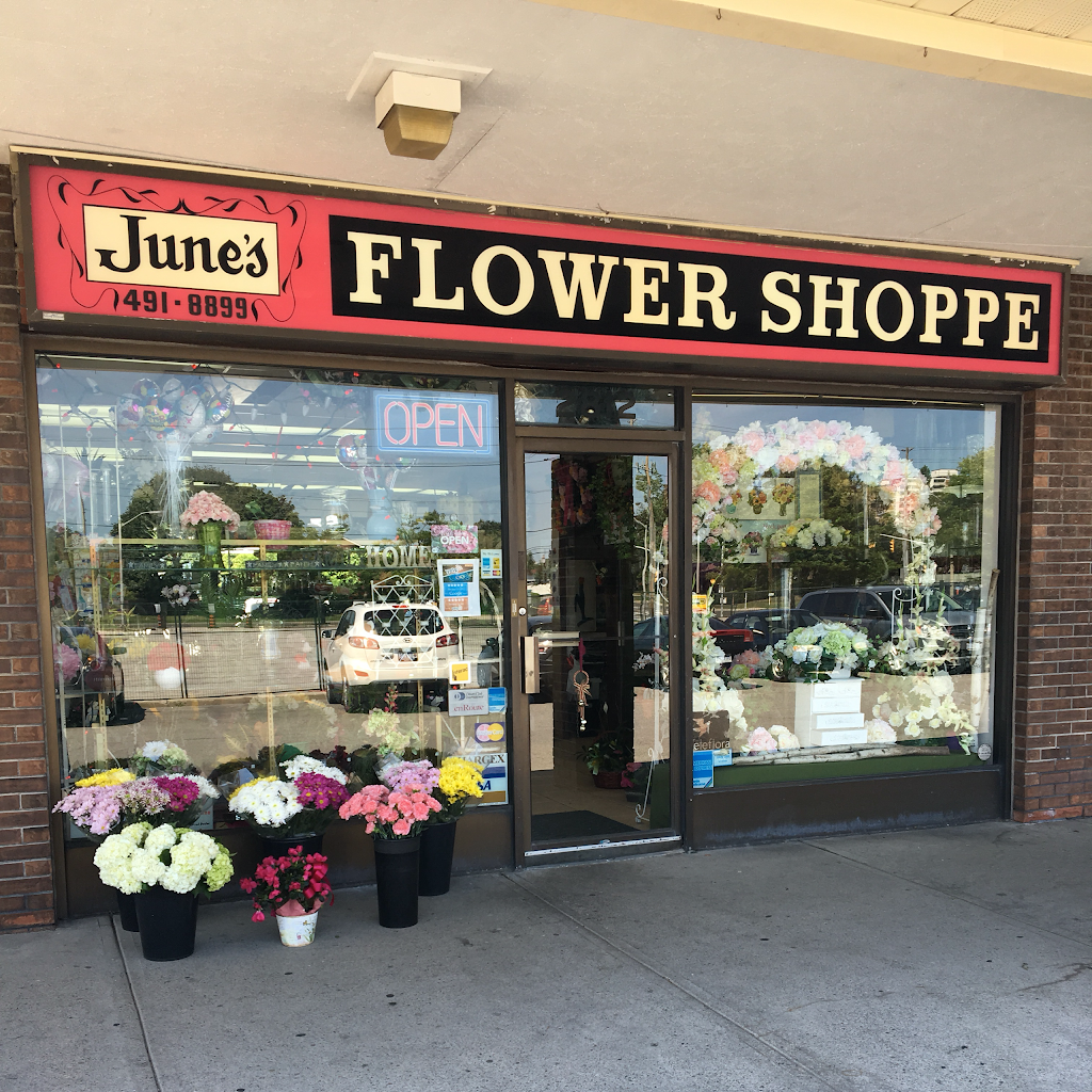 Junes Flower & Gift Shoppe | 2812 Victoria Park Ave, North York, ON M2J 4A8, Canada | Phone: (416) 491-8899